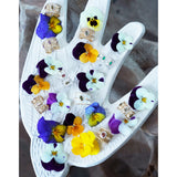 BAGUE ANALI OR AMETHYSTE